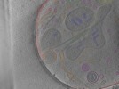 key visualization for Position_62C