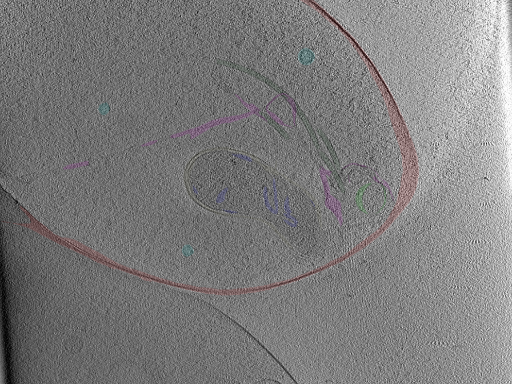 key visualization for Position_14