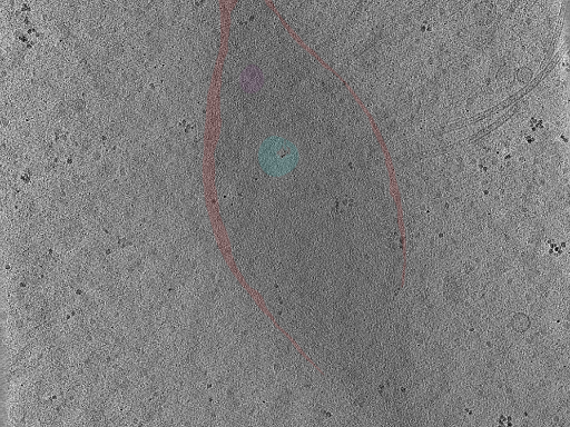 key visualization for Position_16