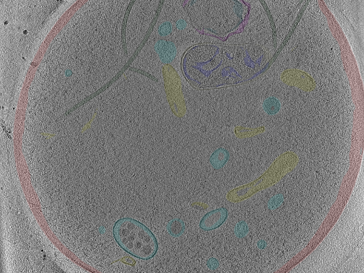 key visualization for Position_38