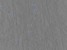 key visualization for PP7 virus-like particles in E. coli imaged with the crossed laser phase plate switched off (underfocus phase contrast, 2-3 µm)