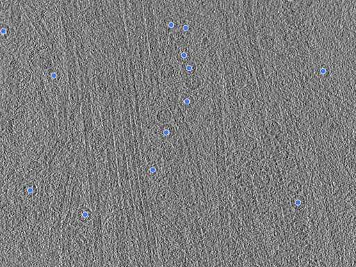 key visualization for pt117_ts_001