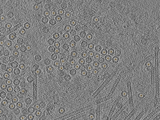 key visualization for pt130_ts_001