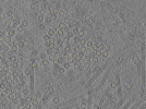 key visualization for pt130_ts_001