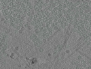 key visualization for pt130_ts_003