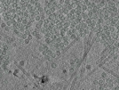 key visualization for pt130_ts_003