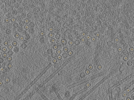 key visualization for pt130_ts_003