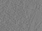 key visualization for pt131_ts_002