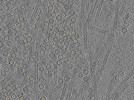 key visualization for pt131_ts_002