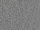 key visualization for pt131_ts_002