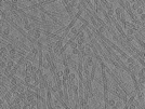 key visualization for pt152_ts_001
