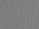 key visualization for pt152_ts_001