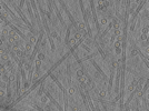 key visualization for pt152_ts_002