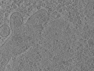 key visualization for pt166_ts_001