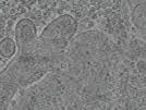key visualization for pt166_ts_001