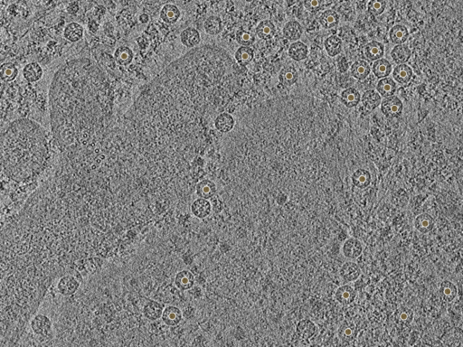 key visualization for pt166_ts_001