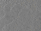 key visualization for pt166_ts_001