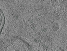 key visualization for pt166_ts_002