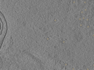 key visualization for pt166_ts_002