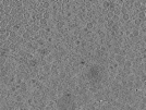 key visualization for pt167_ts_001