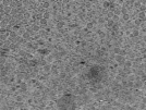 key visualization for pt167_ts_001