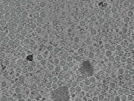 key visualization for pt167_ts_001