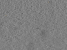 key visualization for pt167_ts_001