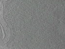key visualization for pt168_ts_001
