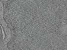 key visualization for pt168_ts_001