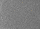 key visualization for pt168_ts_001