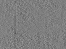 key visualization for pt184_ts_001