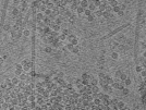 key visualization for pt184_ts_001