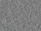 key visualization for pt184_ts_001