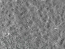 key visualization for pt184_ts_001