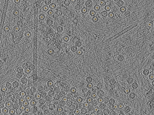 key visualization for pt184_ts_001