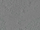key visualization for pt184_ts_002