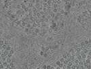 key visualization for pt184_ts_002