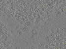key visualization for pt184_ts_002
