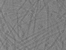 key visualization for pt186_ts_002
