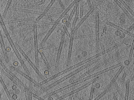 key visualization for pt186_ts_002