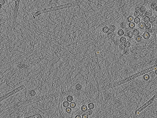 key visualization for pt1872_ts_002