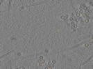 key visualization for pt1872_ts_002