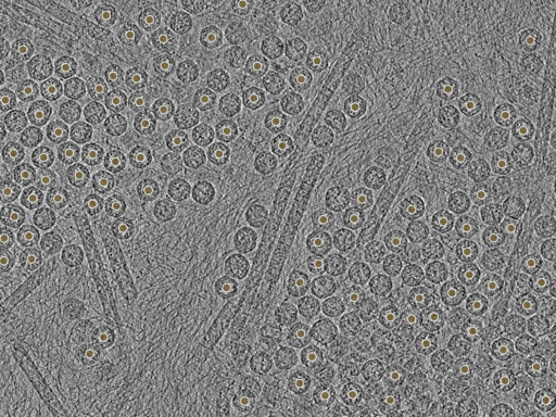 key visualization for pt1872_ts_003