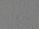 key visualization for pt1872_ts_003