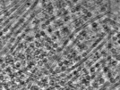 key visualization for pt398_ts_002