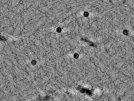 key visualization for pt4263_ts_002