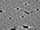key visualization for pt4263_ts_002