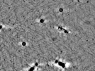 key visualization for pt4263_ts_002