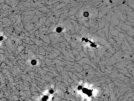 key visualization for pt4263_ts_002
