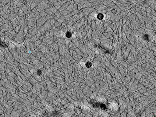 key visualization for pt4263_ts_002